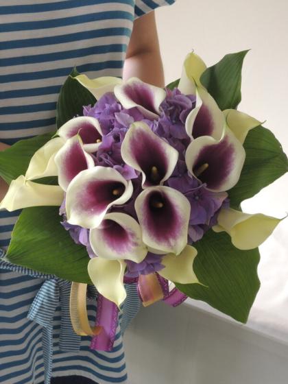 生花 カラー ピカソ 紫 クリーム白 40 50cm 程度 Or 13 通販 はなどんやアソシエ